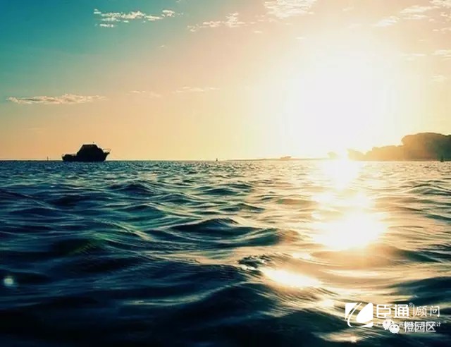 1544604897119542.jpg 640.webp (4).jpg