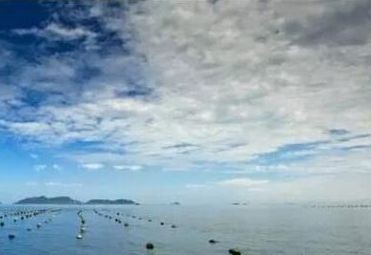 1547456962138558.jpg 微信圖片_20190114170509.jpg